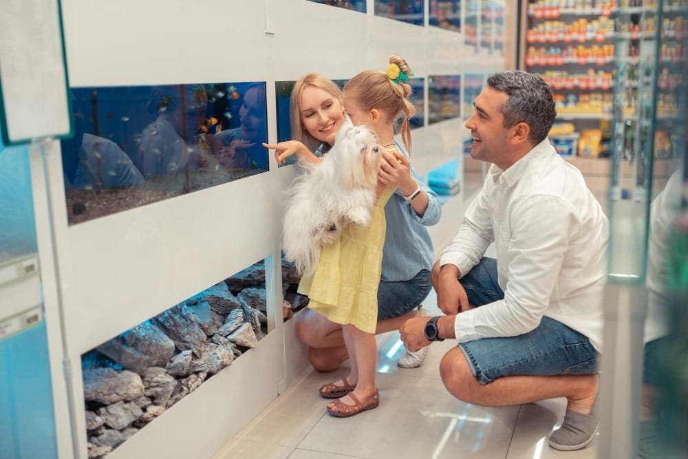 aquarium shop website