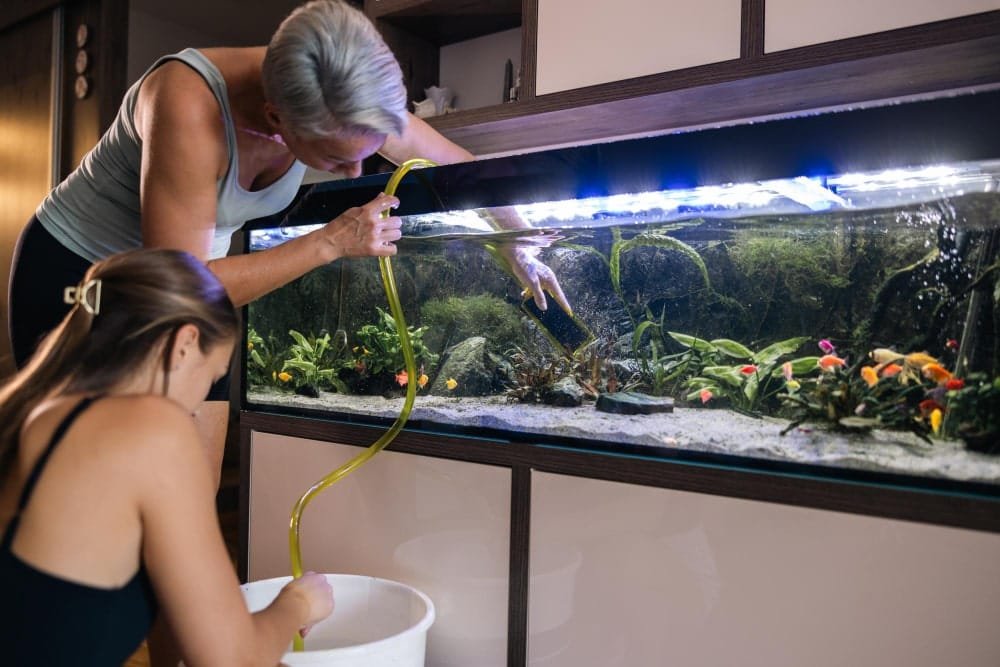aquarium shop website service page